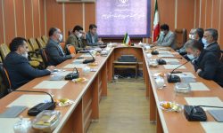 همکاری وانتقال 40درصد از بازرسان صمت تا پایان سال به سازمان‌ جهاد کشاورزی ایلام