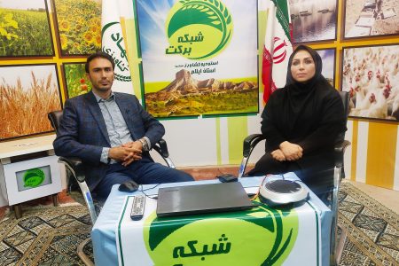 جوان نخبه ی هلیلانی پیشرو در تولیدات کشاورزی استان ایلام