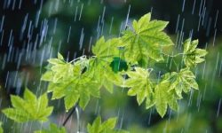 پیش بینی باران پراکنده در آسمان ایلام