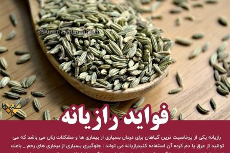 رازیانه؛ پرخاصیت ترین گیاه