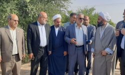 سالانه 250 میلیون اصله نهال در کشور تولید خواهد شد