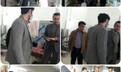 رصد و پایش لحظه ای گندم، آرد و نان استان