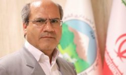 مدیر کل منابع طبیعی از تولید و کاشت سالانه ۱۸ میلیون اصله نهال در استان ایلام خبر داد