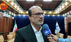عامل کمبود مرغ در ایلام بازار استان های همسایه است