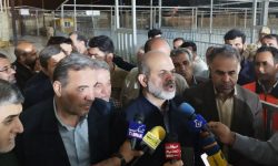 رایزنی های لازم برای توافق با طرف عراقی جهت صدور گذرنامه اختصاصی انجام شده است