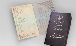 “دریافت شناسنامه نوزاد در ایلام منوط به کاشت درخت تکذیب شد”