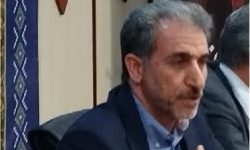 عزیزان از بیمه ۴٠ هزار هکتار از اراضی کشاورزی ایلام خبر داد