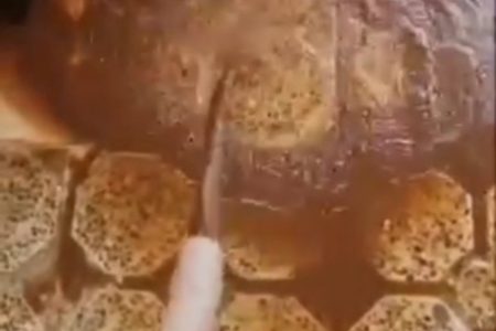 توزیع شیر کاکائو با طعم گِل توسط آبفا