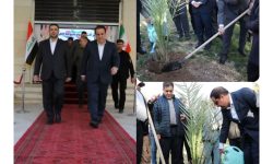 همزمان با هفته منابع طبیعی؛ کاشت نهال بلوط و خرما نماد همبستگی و همکاریهای زیستمحیطی ایران و عراق