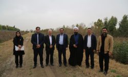 بازدید رئیس سازمان منابع طبیعی از نهالستان گرمسیری مهران؛ تأکید بر تولید نهال مقاوم و علمی